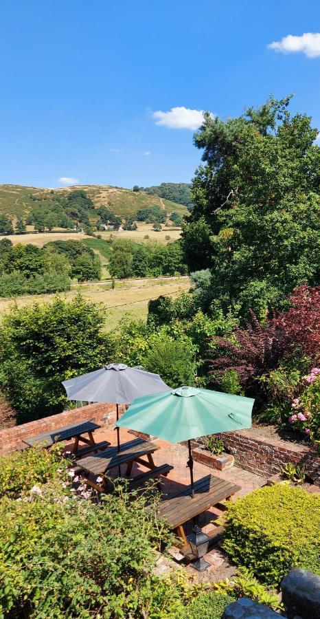 Bron-Y-Graig Hotel Corwen Buitenkant foto